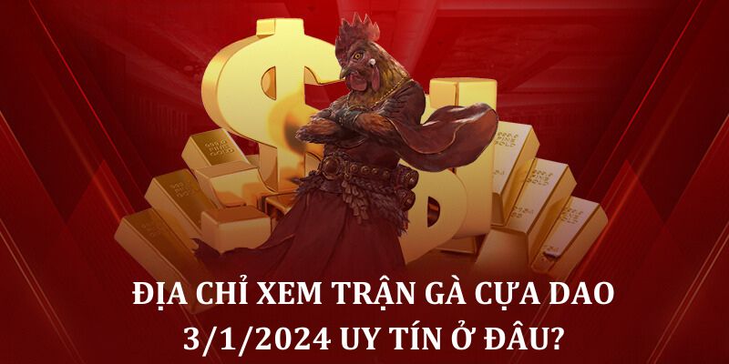 Địa chỉ xem trận gà cựa dao trực tiếp 3/1/2024 uy tín ở đâu?