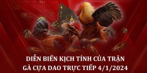 Diễn biến kịch tính của trận gà cựa dao trực tiếp 4/1/2024