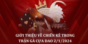 Giới thiệu về Xám Thần và Thanh Nhãn trong trận gà cựa dao trực tiếp 2/1/2024