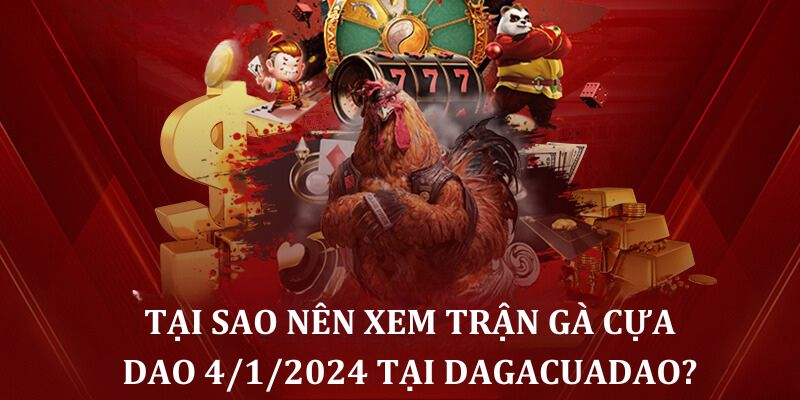 Tại sao nên xem trận gà cựa dao trực tiếp 4/1/2024 tại dagacuadao?