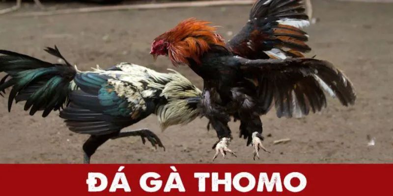 Các hình thức dagathomo phổ biến