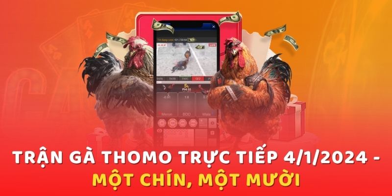 Xem trận gà Thomo trực tiếp 4/1/2024 ở đâu thì an toàn?  