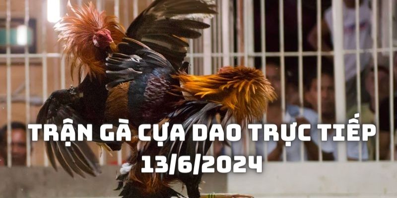 Trận gà cựa dao trực tiếp 13/6/2024: Jang và Sun đối đầu