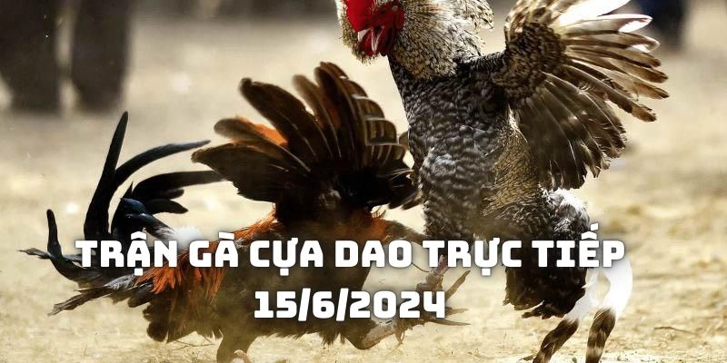 Tìm ra chiến kê chiến thắng trong Trận gà cựa dao trực tiếp 15/6/2024