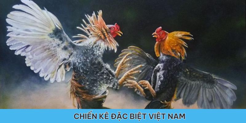 Một số chiến kê đặc biệt đến từ Việt Nam tham gia giải lần này