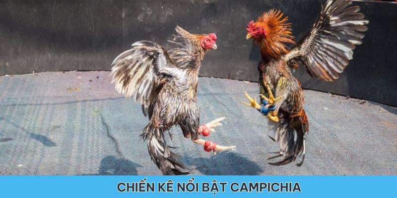 Chiến kê nổi bật nhất của chủ nhà Campichia