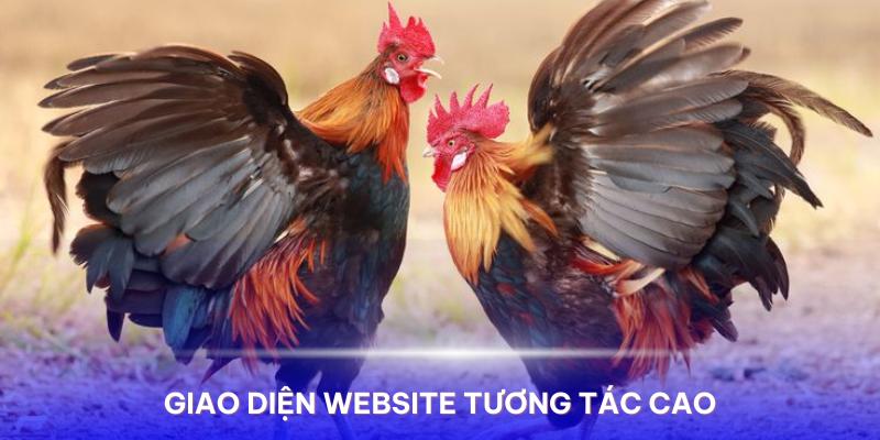 Lịch chiến kê đá gà thomo tháng 6/2024 - Giao diện website được thiết kế với khả năng tương tác cao