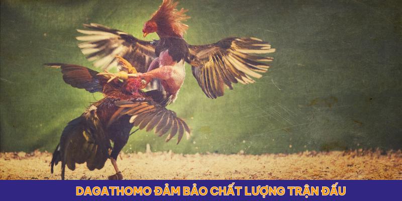 Dagathomo đảm bảo chất lượng các trận đấu trực tiếp