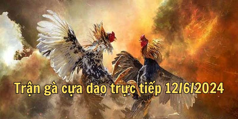 Giới thiệu về thành phần tham dự trận gà cựa dao trực tiếp 12/6/2024