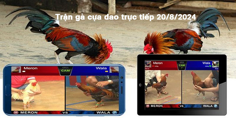 Chiến thắng của trận đấu thuộc về Decao